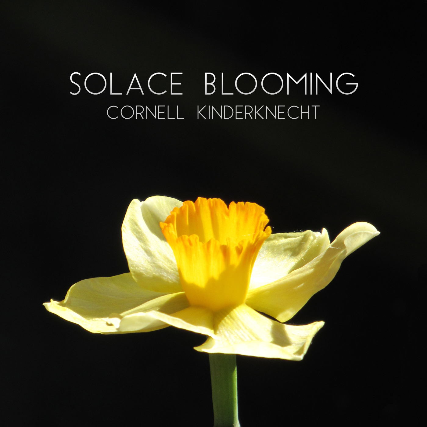 Solace Blooming digital single by Cornell Kinderknecht